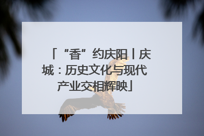“香”约庆阳丨庆城：历史文化与现代产业交相辉映