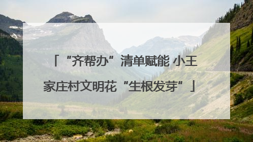 “齐帮办”清单赋能 小王家庄村文明花“生根发芽”