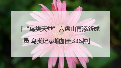 “鸟类天堂”六盘山再添新成员 鸟类记录增加至336种
