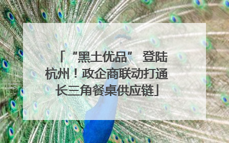 “黑土优品” 登陆杭州！政企商联动打通长三角餐桌供应链