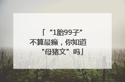 “1胎99子”不算最癫，你知道“母猪文”吗