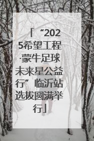 “2025希望工程·蒙牛足球未来星公益行”临沂站选拔圆满举行