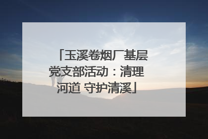 玉溪卷烟厂基层党支部活动：清理河道 守护清溪