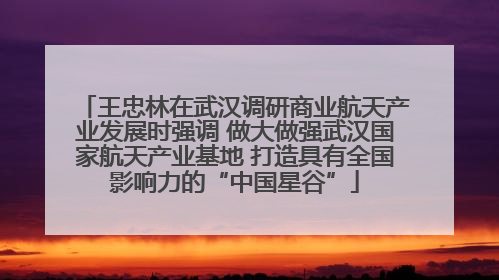 王忠林在武汉调研商业航天产业发展时强调 做大做强武汉国家航天产业基地 打造具有全国影响力的“中国星谷”