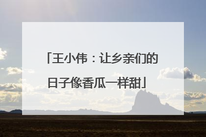 王小伟：让乡亲们的日子像香瓜一样甜