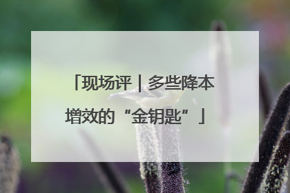 现场评｜多些降本增效的“金钥匙”