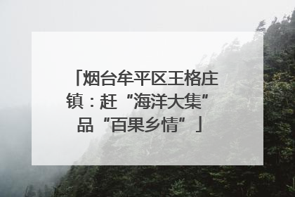 烟台牟平区王格庄镇：赶“海洋大集” 品“百果乡情”