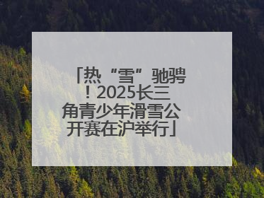 热“雪”驰骋！2025长三角青少年滑雪公开赛在沪举行