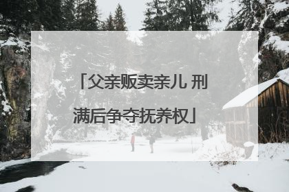 父亲贩卖亲儿 刑满后争夺抚养权