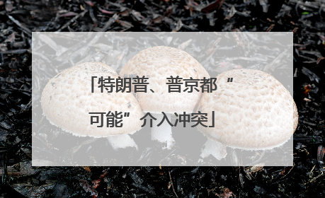 特朗普、普京都“可能”介入冲突