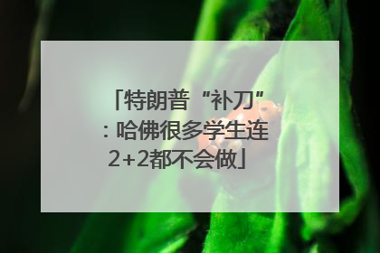 特朗普“补刀”：哈佛很多学生连2+2都不会做