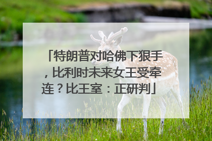 特朗普对哈佛下狠手，比利时未来女王受牵连？比王室：正研判