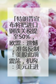 特朗普宣布将把进口钢铁关税提至50%，欧盟：遗憾，准备反制！美股此前震荡，机构：美元正进入熊市