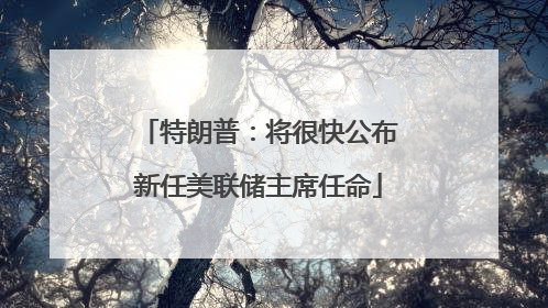 特朗普：将很快公布新任美联储主席任命