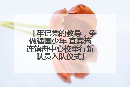 牢记党的教导，争做强国少年 宜宾筠连镇舟中心校举行新队员入队仪式