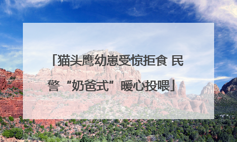 猫头鹰幼崽受惊拒食 民警“奶爸式”暖心投喂