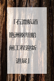 石澧航道艳洲枢纽船闸工程迎新进展