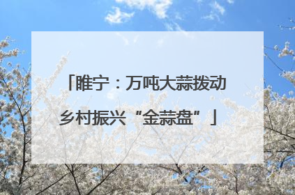睢宁：万吨大蒜拨动乡村振兴“金蒜盘”