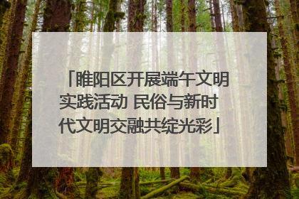 睢阳区开展端午文明实践活动 民俗与新时代文明交融共绽光彩