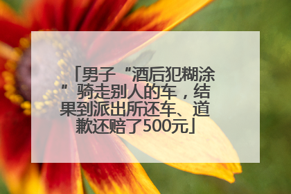 男子“酒后犯糊涂”骑走别人的车，结果到派出所还车、道歉还赔了500元