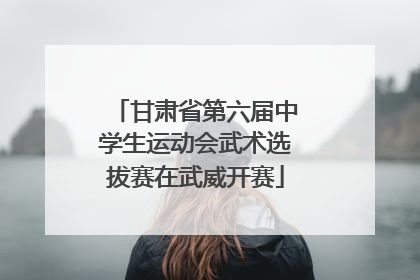 甘肃省第六届中学生运动会武术选拔赛在武威开赛
