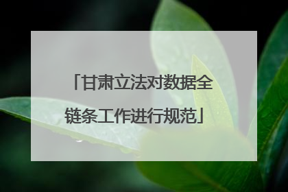 甘肃立法对数据全链条工作进行规范