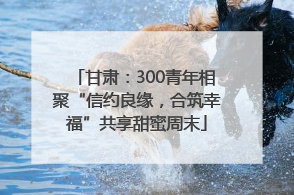 甘肃：300青年相聚“信约良缘，合筑幸福”共享甜蜜周末