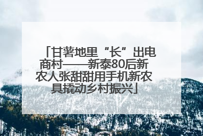 甘薯地里“长”出电商村——新泰80后新农人张甜甜用手机新农具撬动乡村振兴