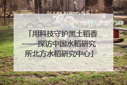 用科技守护黑土稻香——探访中国水稻研究所北方水稻研究中心