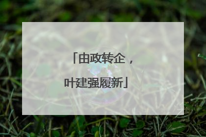 由政转企，叶建强履新