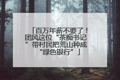 百万年薪不要了！团风这位“茶痴书记”带村民把荒山种成“绿色银行”