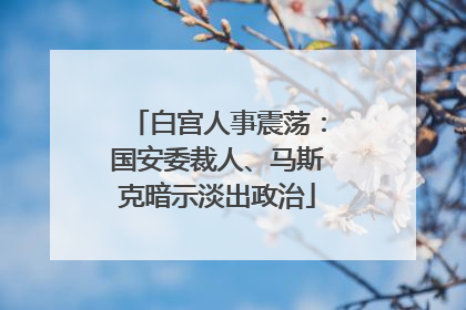 白宫人事震荡：国安委裁人、马斯克暗示淡出政治