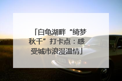 白龟湖畔“绮梦秋千”打卡点：感受城市浪漫温情