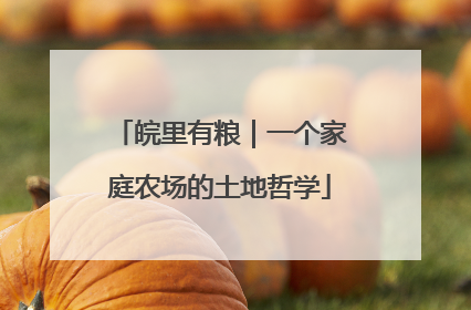 皖里有粮｜一个家庭农场的土地哲学