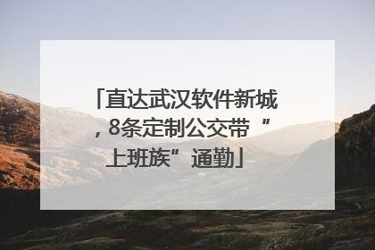 直达武汉软件新城，8条定制公交带“上班族”通勤