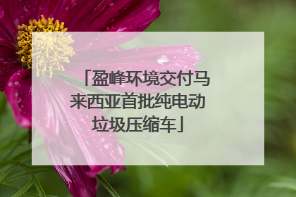 盈峰环境交付马来西亚首批纯电动垃圾压缩车