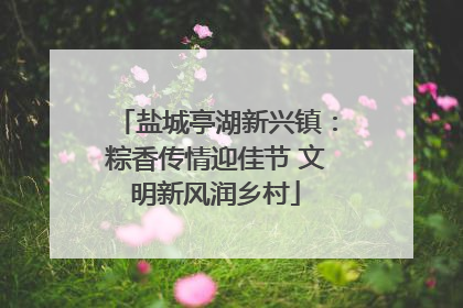 盐城亭湖新兴镇：粽香传情迎佳节 文明新风润乡村