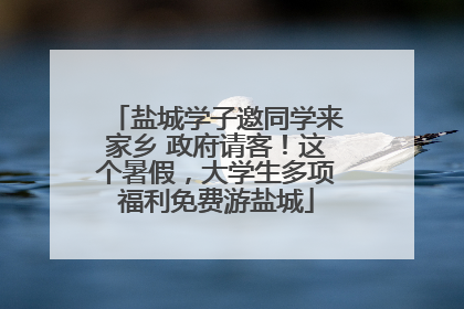 盐城学子邀同学来家乡 政府请客！这个暑假，大学生多项福利免费游盐城