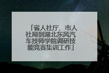 省人社厅、市人社局到湖北东风汽车技师学院调研技能竞赛集训工作