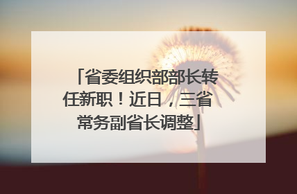 省委组织部部长转任新职！近日，三省常务副省长调整