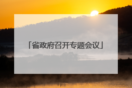 省政府召开专题会议