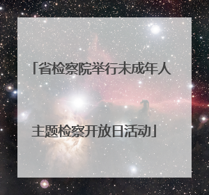 省检察院举行未成年人主题检察开放日活动