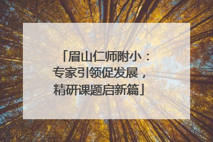 眉山仁师附小：专家引领促发展，精研课题启新篇