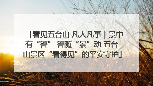 看见五台山 凡人凡事｜景中有“警” 警随“景”动 五台山景区“看得见”的平安守护