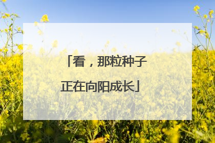 看，那粒种子正在向阳成长