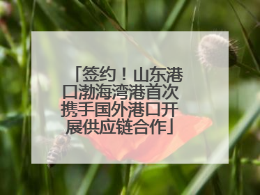 签约！山东港口渤海湾港首次携手国外港口开展供应链合作