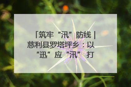 筑牢“汛”防线｜慈利县罗塔坪乡：以“迅”应“汛” 打赢暴雨防御战