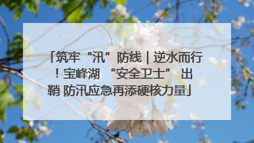 筑牢“汛”防线｜逆水而行！宝峰湖 “安全卫士” 出鞘 防汛应急再添硬核力量