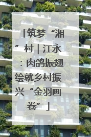 筑梦“湘”村｜江永：肉鸽振翅绘就乡村振兴“金羽画卷”