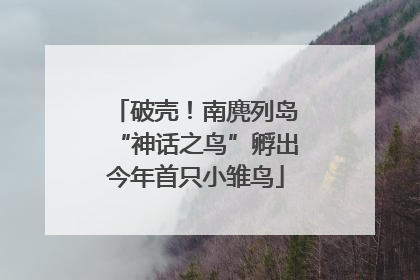 破壳！南麂列岛“神话之鸟”孵出今年首只小雏鸟